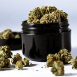 THCa Flower for Pain Relief: Science-Backed Benefits Explained