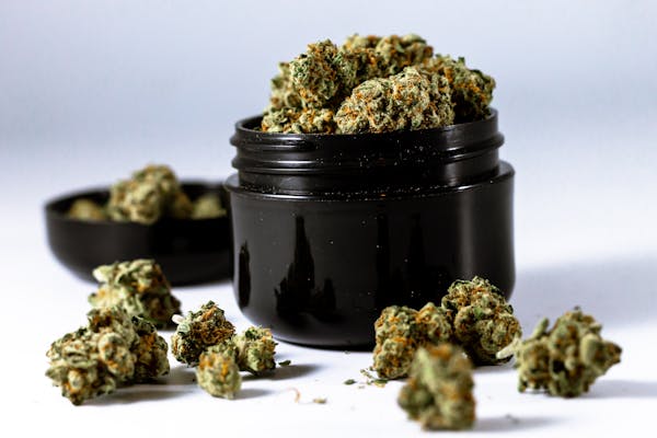 THCa Flower for Pain Relief: Science-Backed Benefits Explained